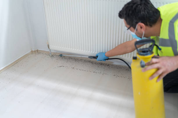 Best Local Pest Control Services  in , MO